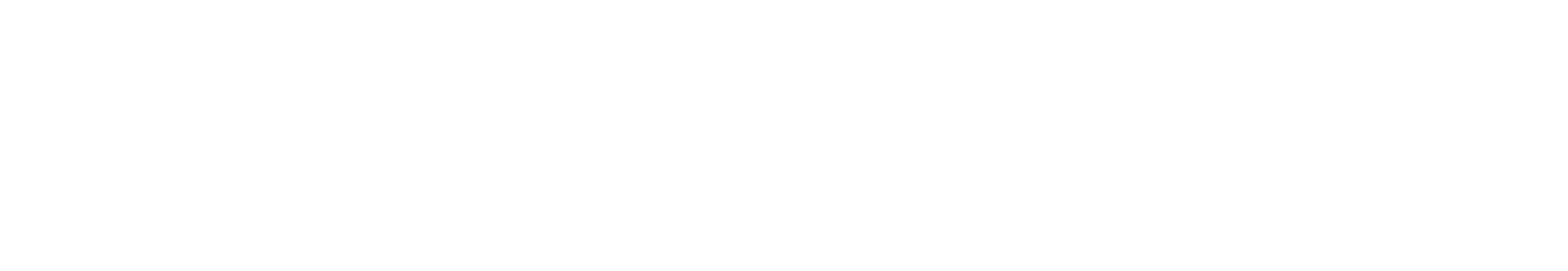 TOTMobile